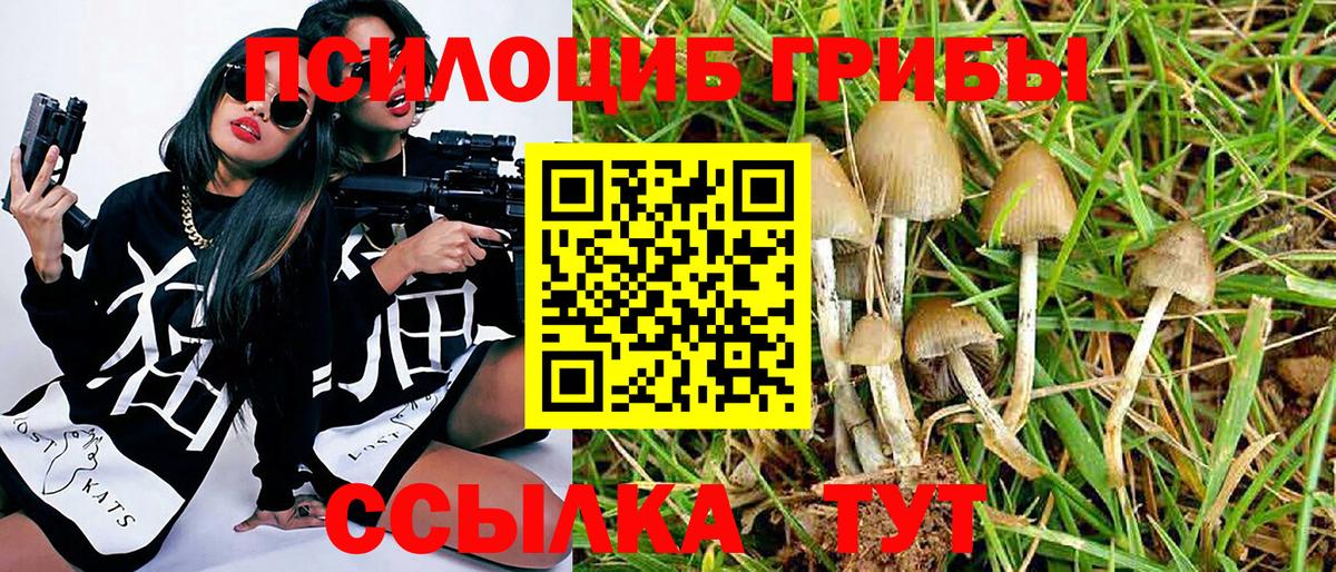 наркошоп  Псилоцибиновые грибы MAGIC MUSHROOMS  Псилоцибиновые грибы ЛСД  Вход с VPN  Луховицы 
